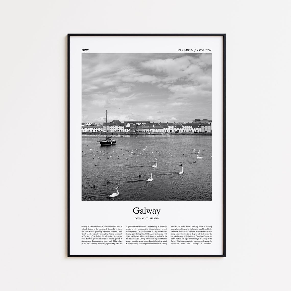 Galway Ireland Harbor Swans Black and White Photography Poster