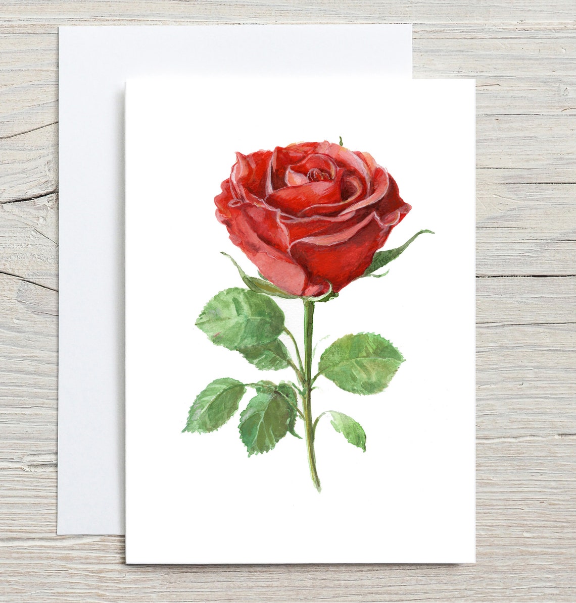 Single Long-Stem Red Rose Watercolour Romantic Flower Art Print