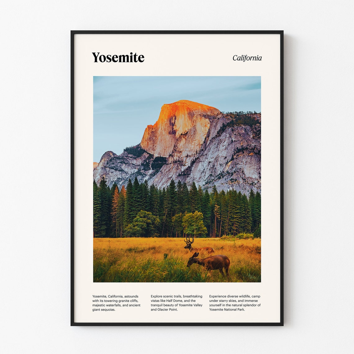 Yosemite Half Dome Golden Meadow Wildlife National Park Poster