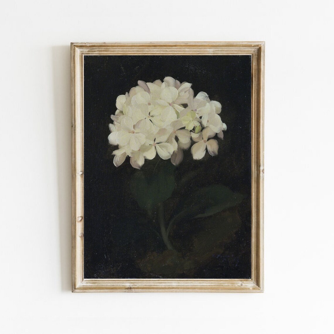 Vintage Hydrangea Botanical Art Print, Floral Style