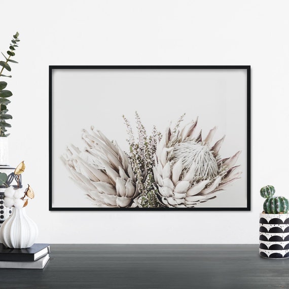 Australian Native Bouquet Floral Photographic Print Wall Art A4 A3 A2 A1
