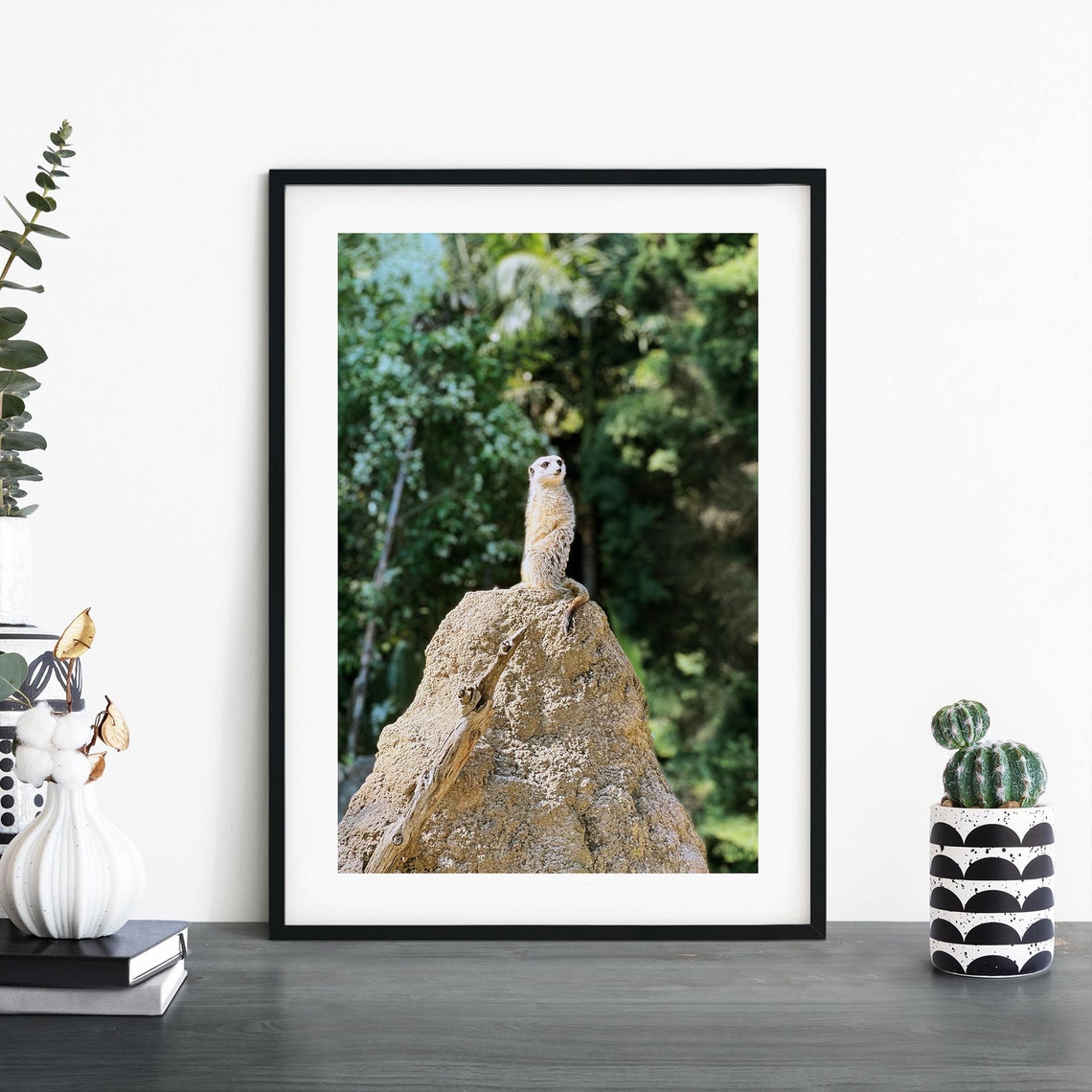 Meerkat Standing on Rock Wildlife Photography Nature Art Poster