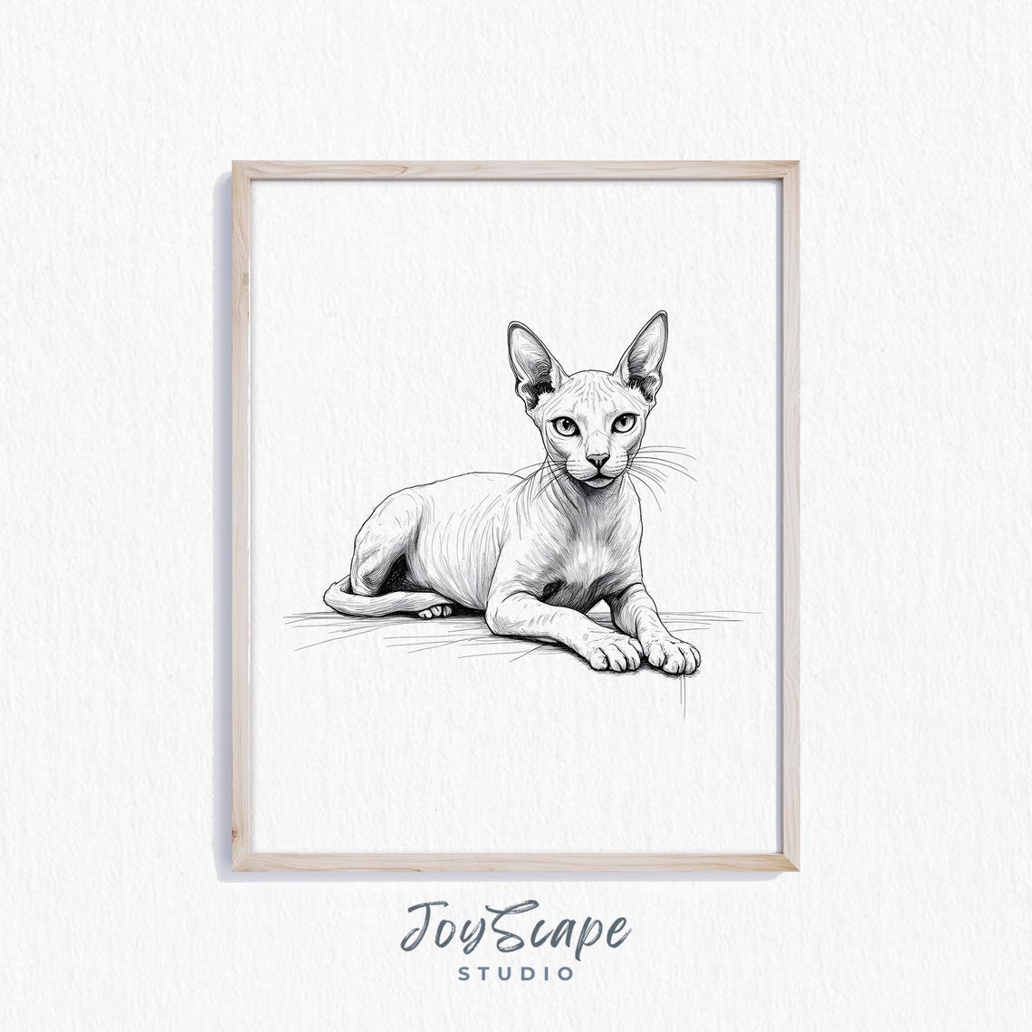 Sphynx Hairless Cat Sketch Black and White Elegant Feline Poster
