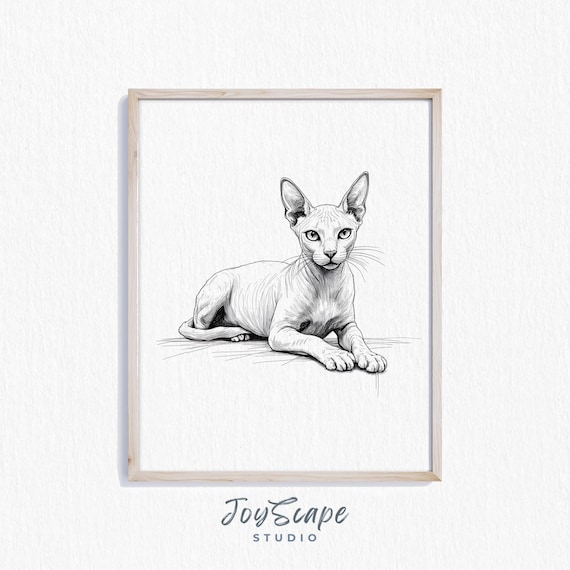 Sphynx Hairless Cat Sketch Black and White Elegant Feline Poster