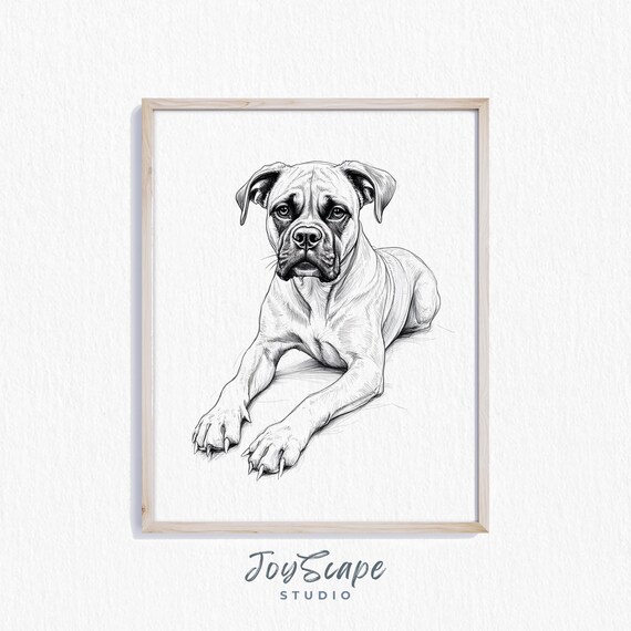 Boxer Dog Lying Down Black And White Sketch Vintage Puppy Line Art Poster