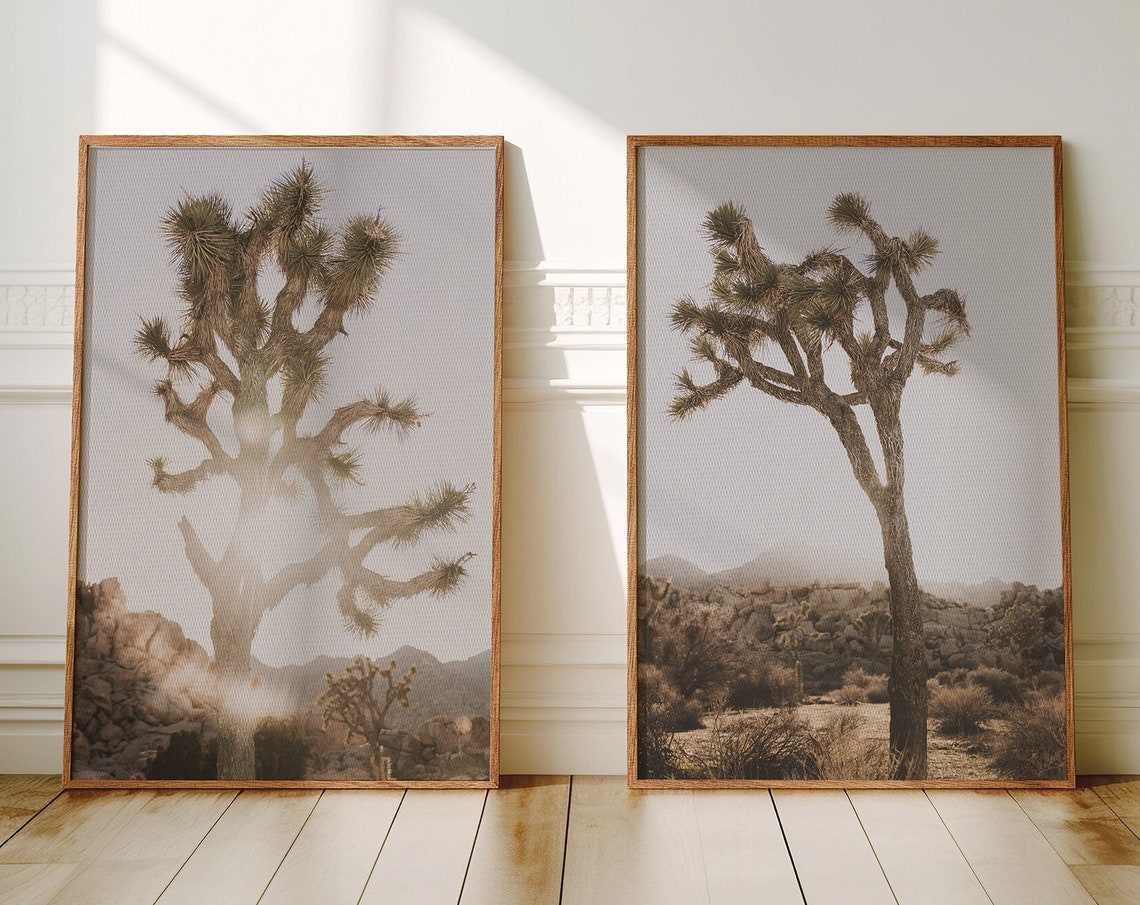 Pair of Joshua Tree Desert Photographs in Natural Light Poster
