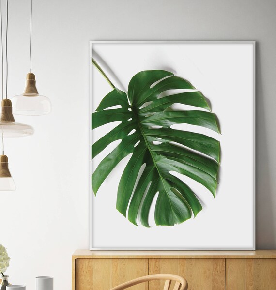 Sale Monstera Print Monstera Leaf Tropical Print Monstera Leaf Print Monstera Wall Art Tropical Decor Monstera Deliciosa