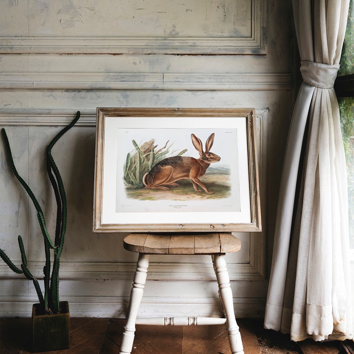 Antique Hare Vintage Animal Poster Print - Image 4