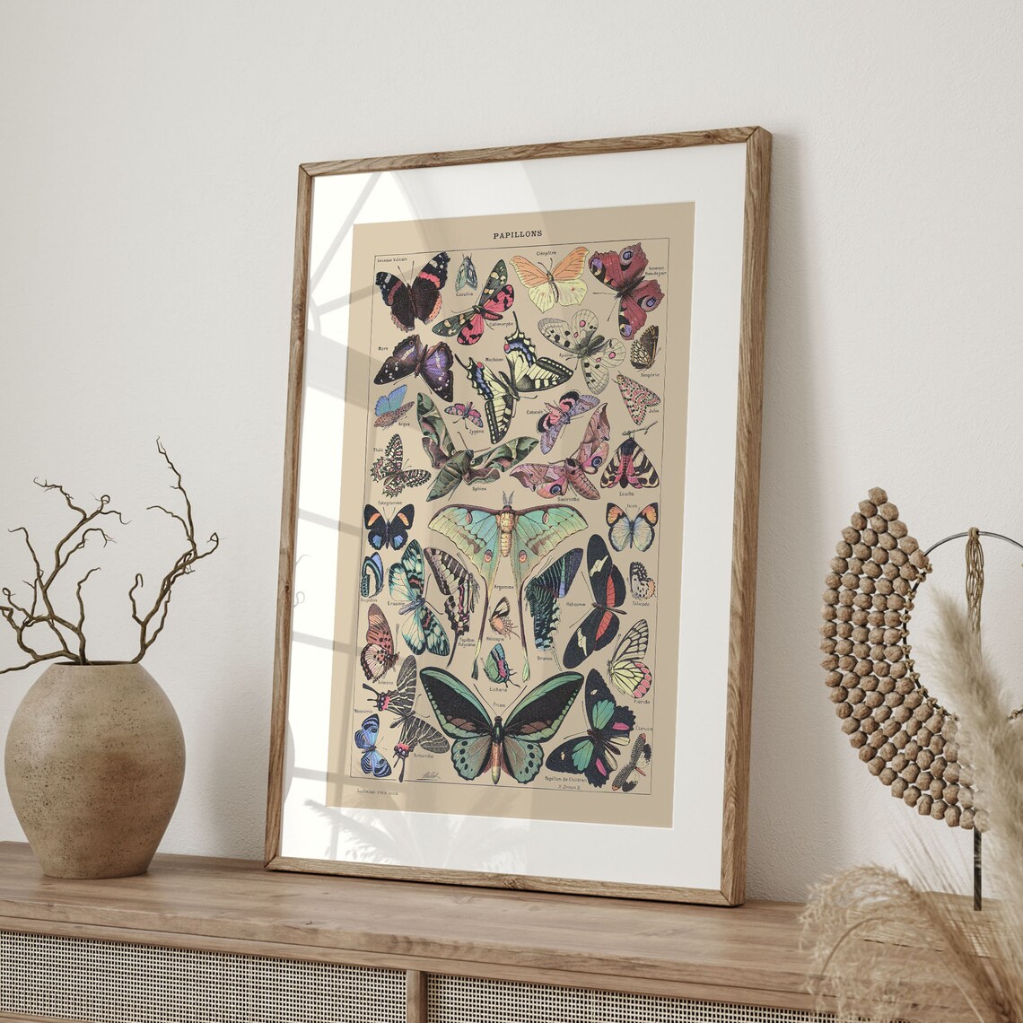 Adolphe Millot Butterfly Vintage Botanical Poster