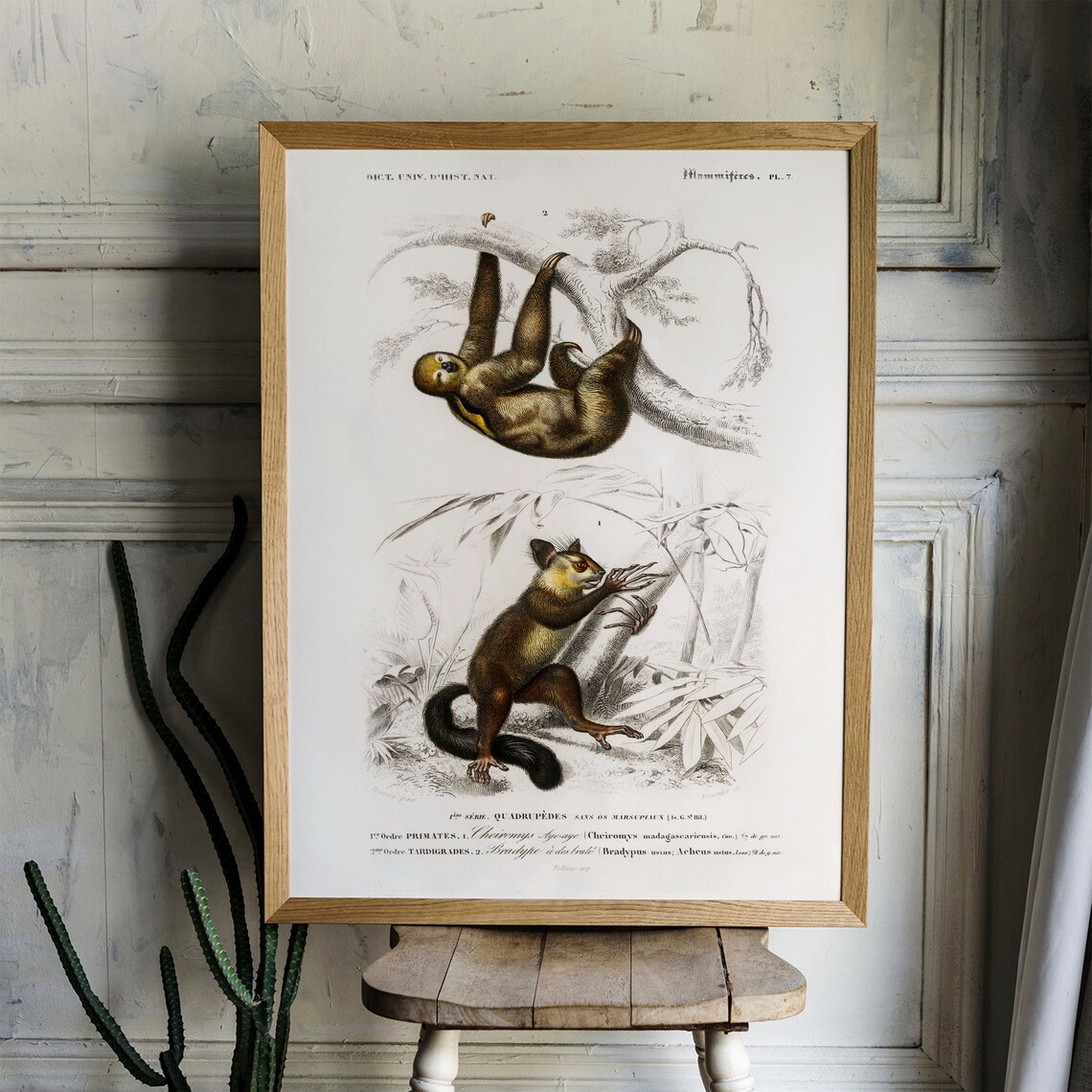 Sloth Antique Animal Painting Vintage Drawing Art Print - Image 4