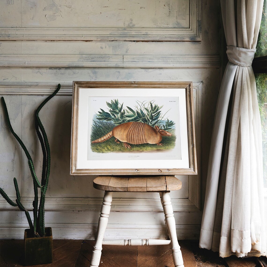 Antique Armadillo Vintage Animal Art Print - Image 4