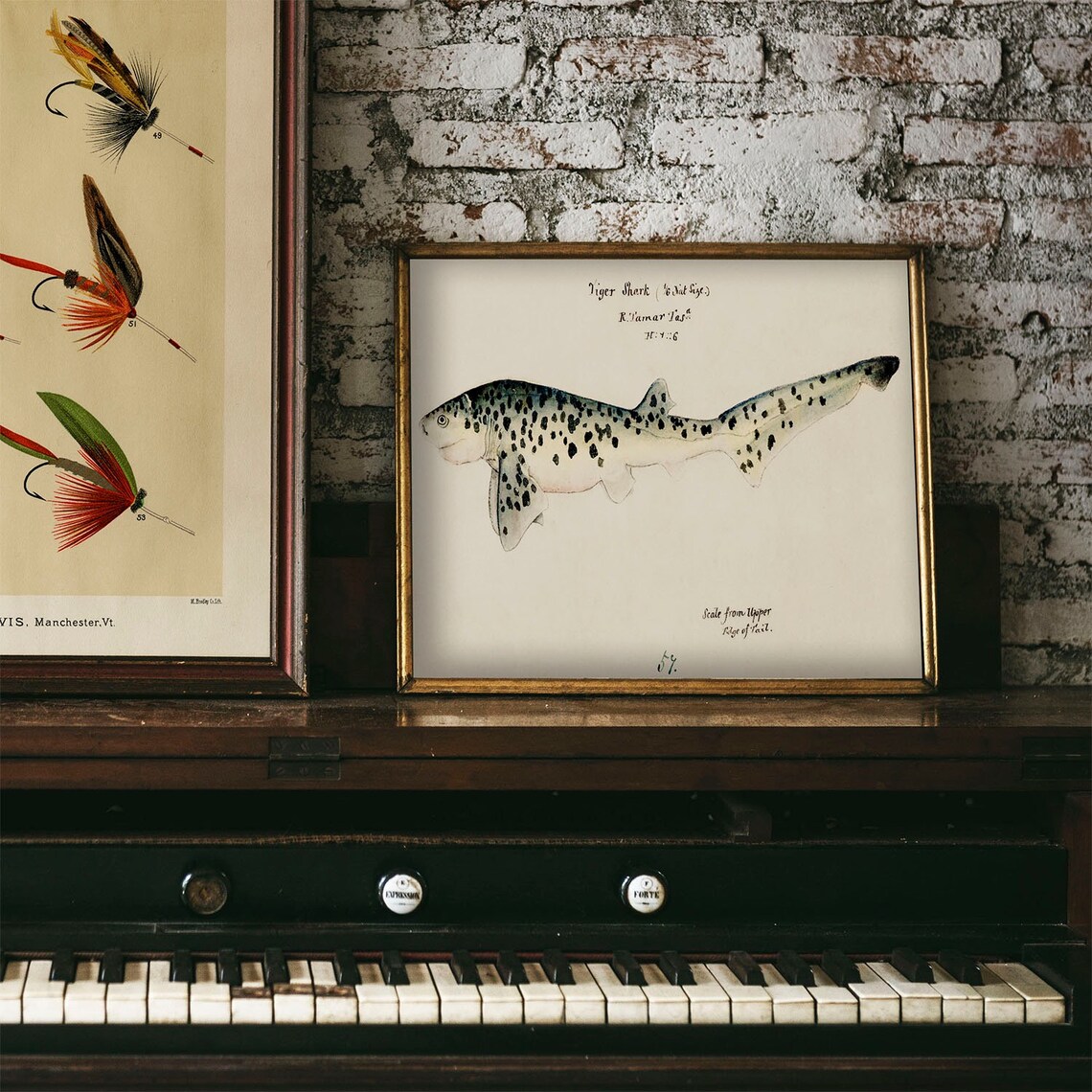 Tiger Shark Vintage Fishing Poster Art Print