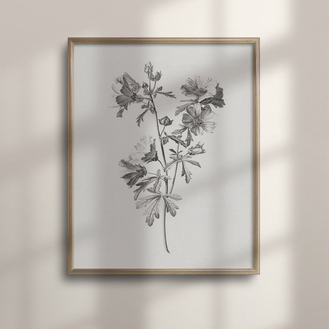 Black and White Botanical Flower Engraving Art Print for Bedroom