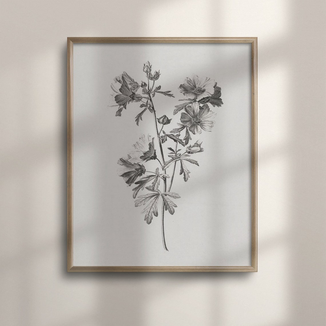 Vintage Botanical Sketch Farmhouse Floral Wall Art Antique Flower Drawing French Country Decor Nature Inspired Poster Print C16 1463