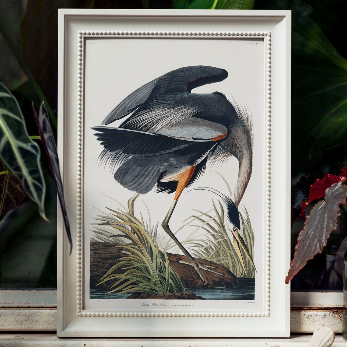 Heron Antique Bird Painting Vintage Bird Poster - Image 3