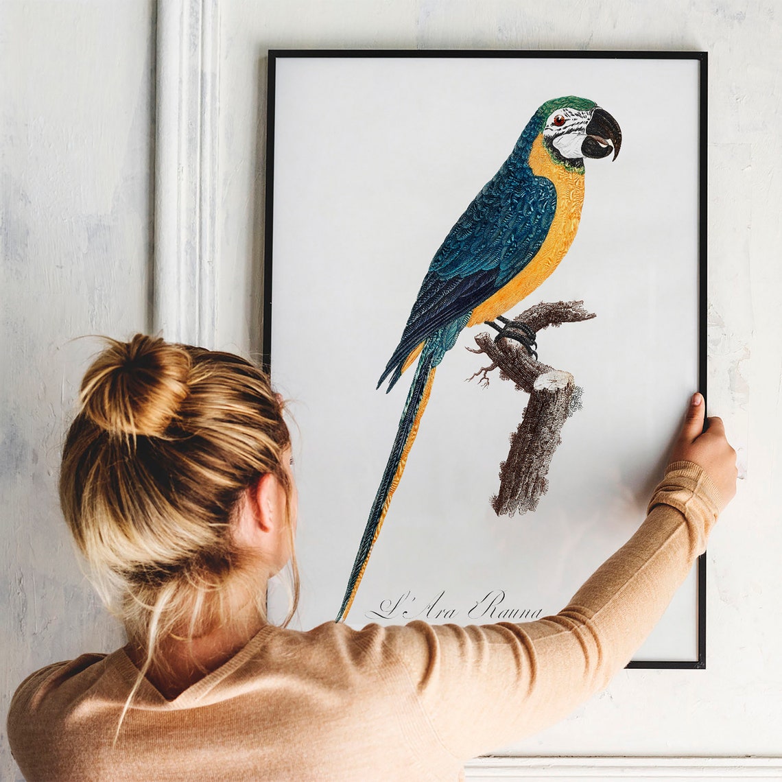 Blue and Yellow Macaw Vintage Tropical Parrot Illustration Poster - Image 3