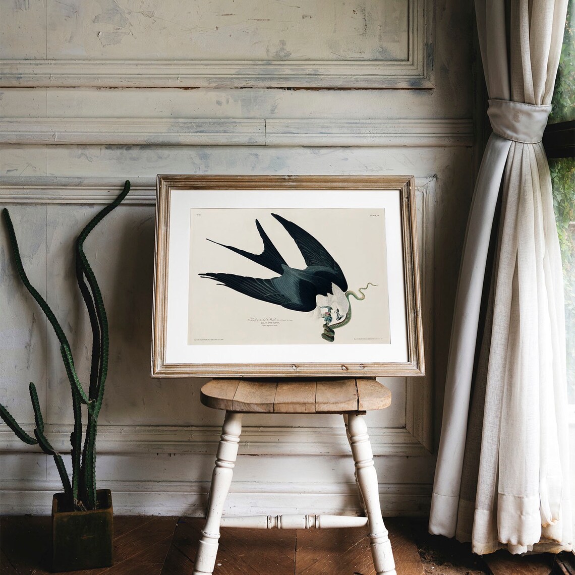 Vintage Hawk Bird Print, Antique Botanical Drawing - Image 4
