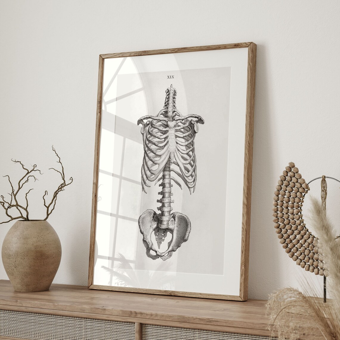 Antique Skeleton Anatomy Vintage Medical Art Print - Image 4
