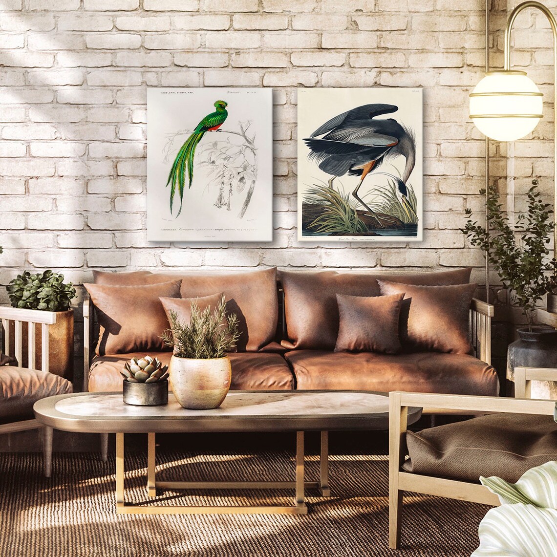 Resplendent Quetzal Vintage Natural History Bird Plate Poster - Image 3
