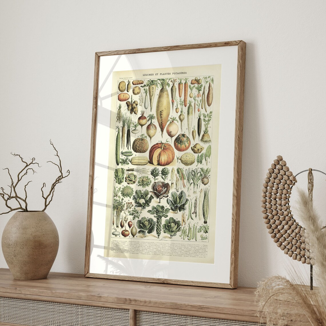 Adolphe Millot Vintage Vegetable Art Poster, Botanical - Image 4