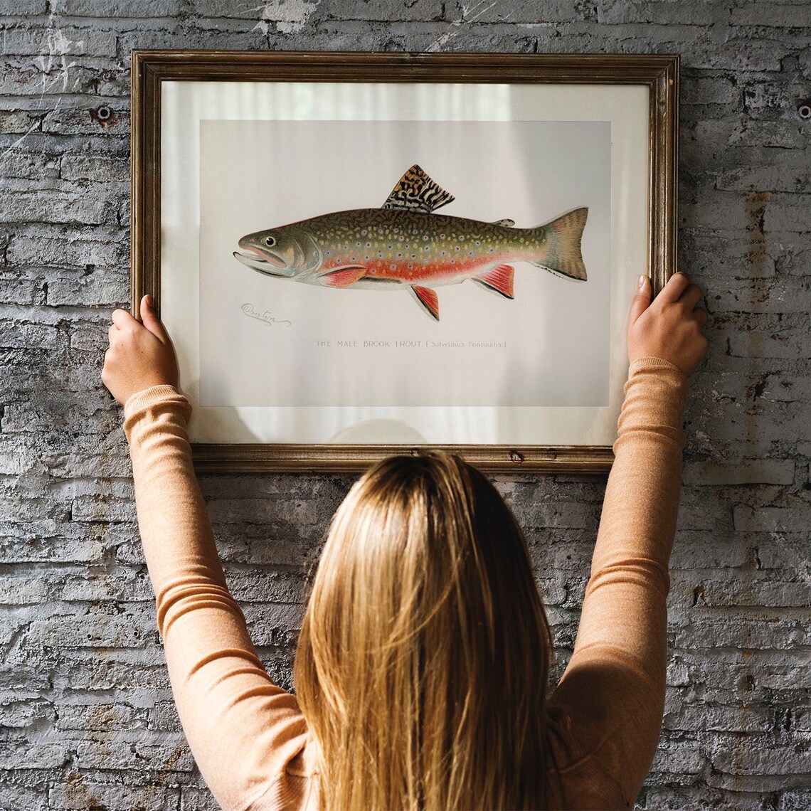 Male Brook Trout Vintage Fishing Poster Art Print - Image 2