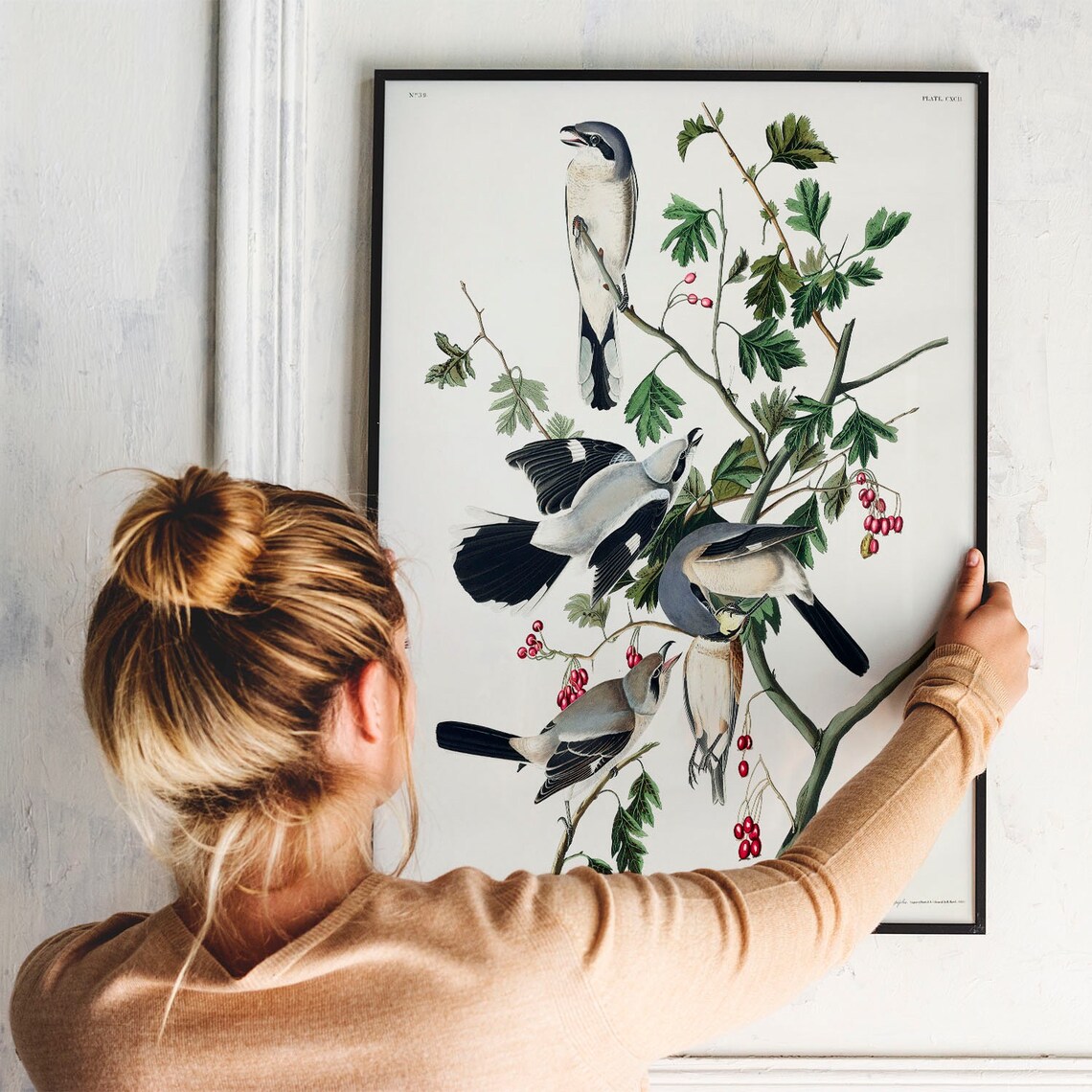 Shrike Antique Bird Painting Vintage Art Print - Image 3