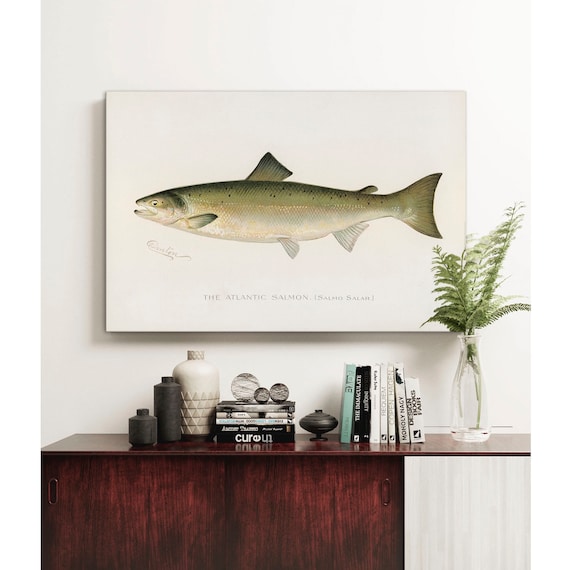 Atlantic Salmon Fish Print Vintage Fishing Poster Wall Art Salmon Gift For Dad Man Fisherman Fisherman Gift Fishing Sign C14