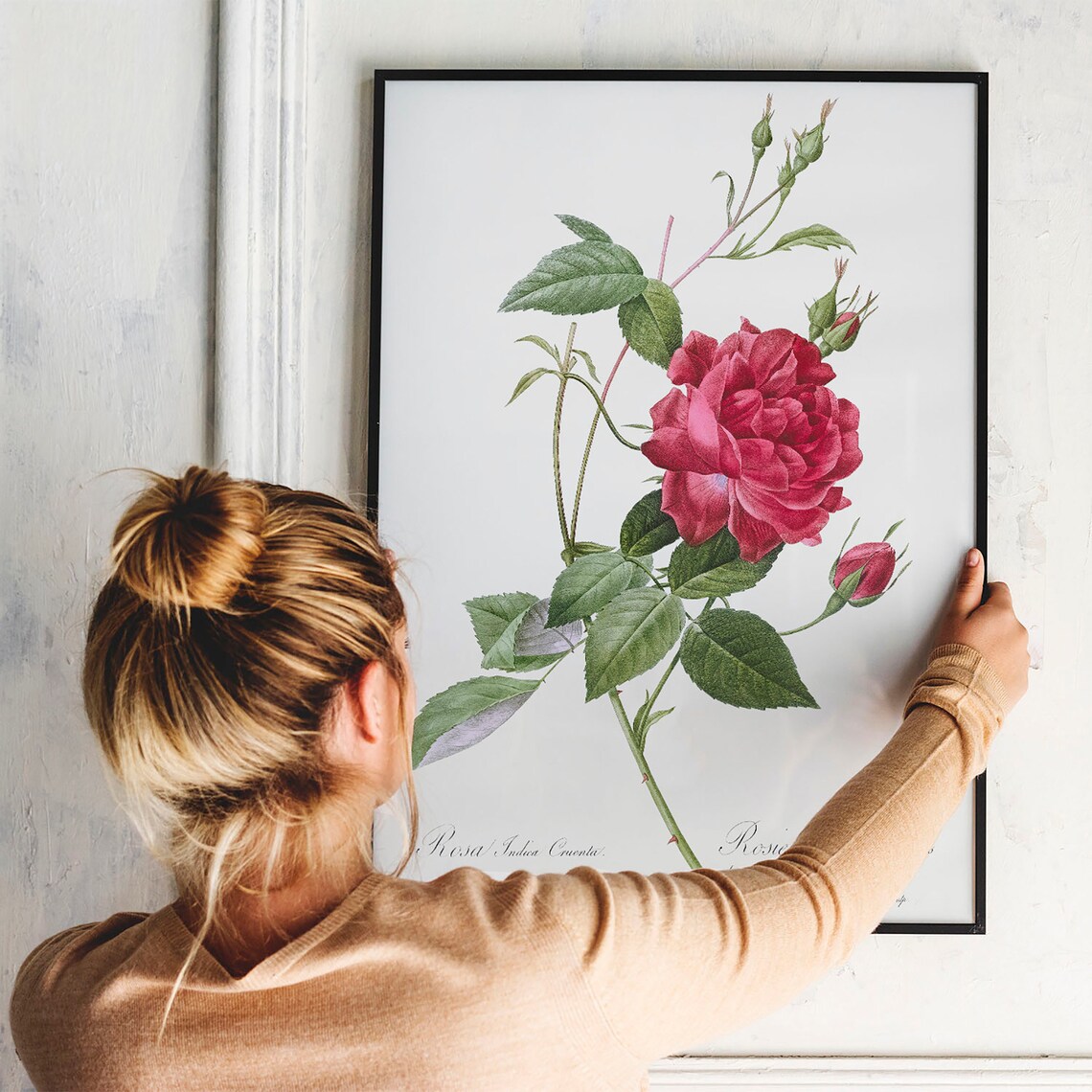 Red Rose Botanical Engraving Vintage Flower Art Print for Home - Image 3