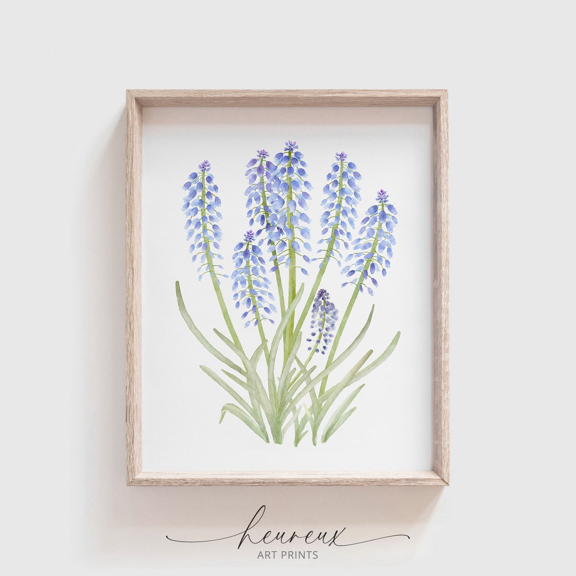Blue Grape Hyacinth Muscari Watercolor Flower Poster Botanical Spring