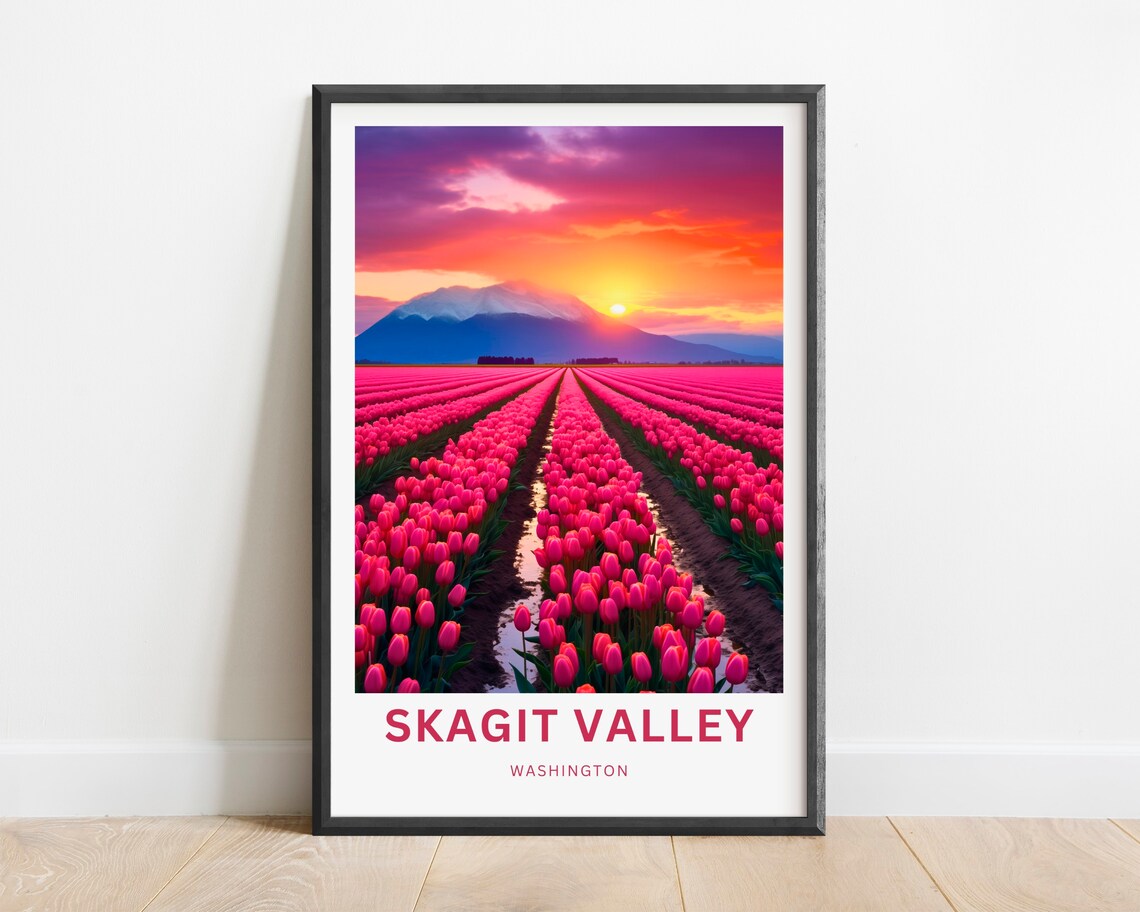 Skagit Valley Washington Pink Tulip Field Mountain Travel Poster