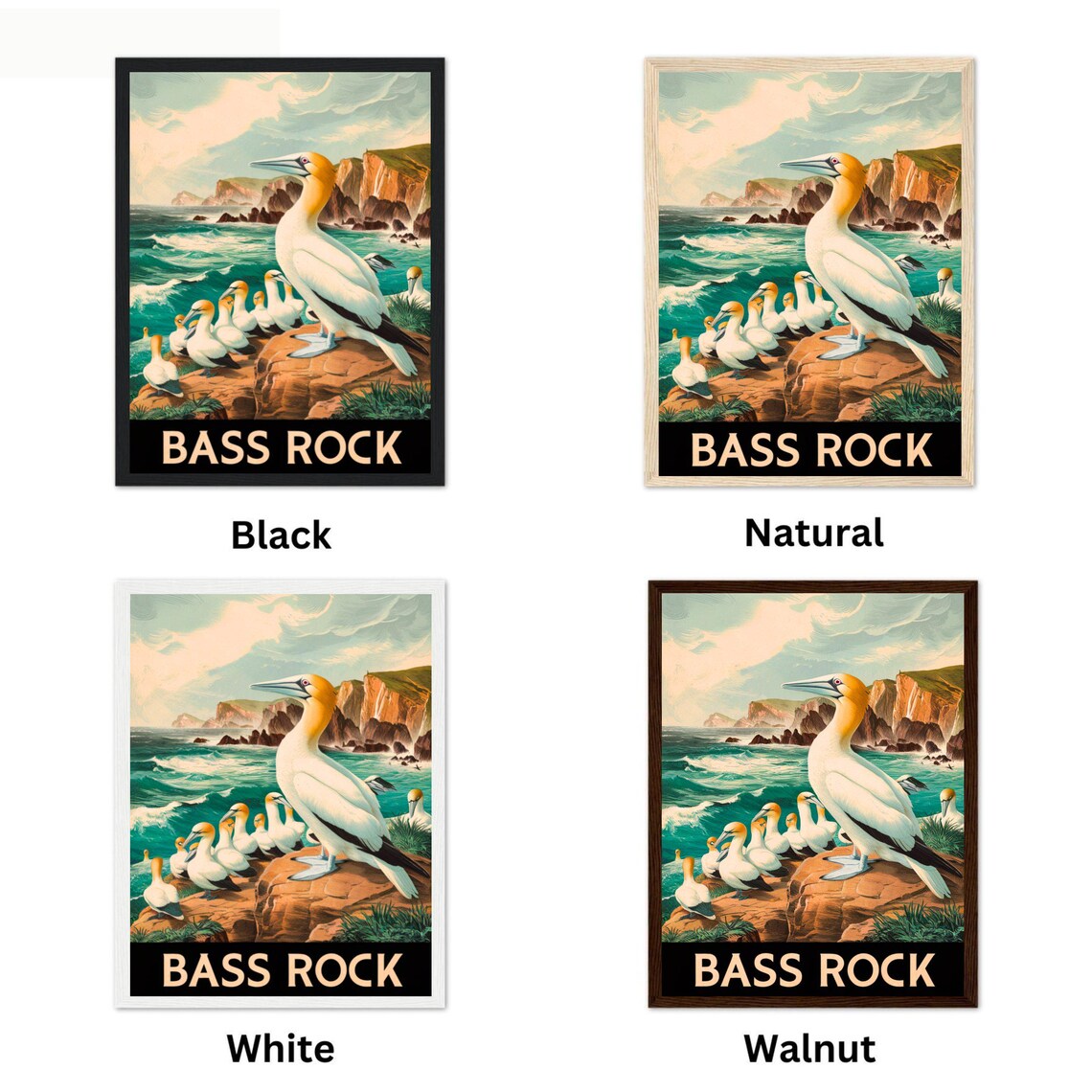 Bass Rock Scotland Northern Gannets Seabird Colony Travel Poster - Image 3