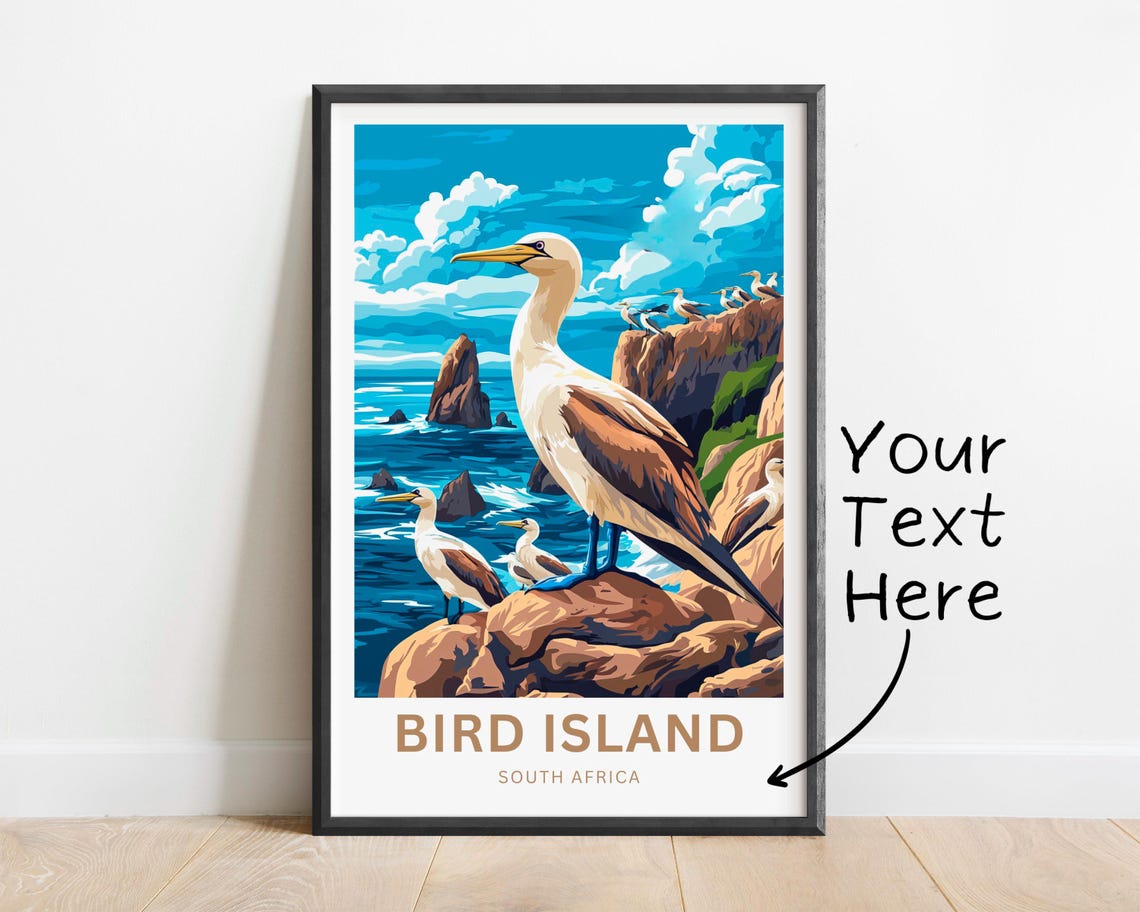 Bird Island South Africa Gannets Perched on Rocky Coast Poster - Image 4