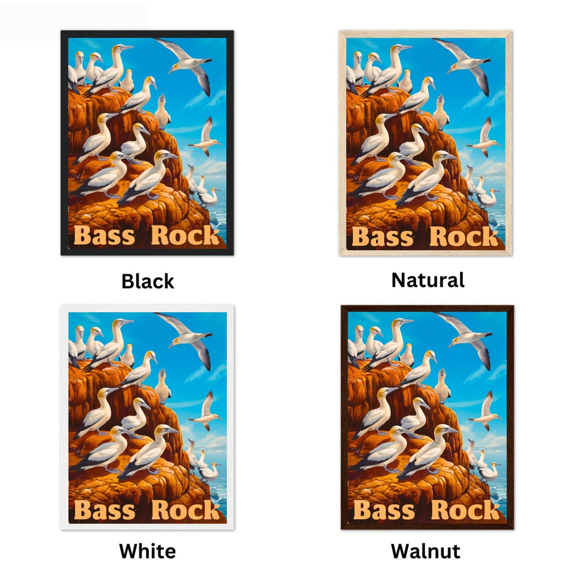 Bass Rock Scotland Gannet Colony Cliffs Vintage Travel Poster - Image 4