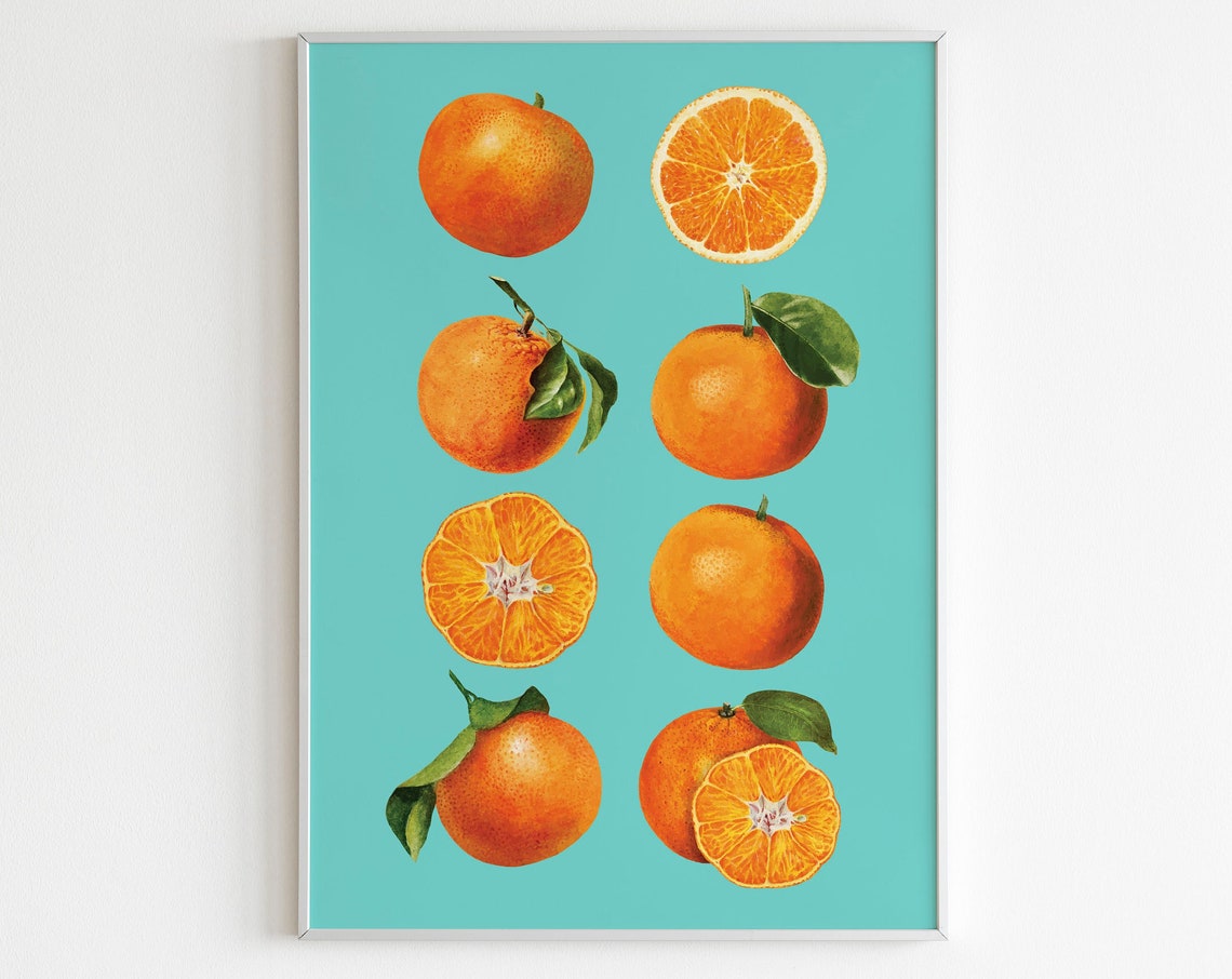 Realistic Oranges Fruit Citrus Slices Turquoise Bold Kitchen Poster - Image 2
