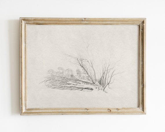 Tree Sketch Vintage Sketch Winter Prints Tree Drawing Antique Drawing Vintage Art Art