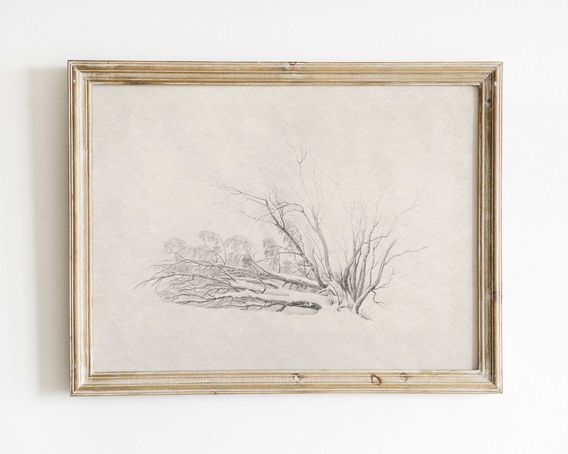 Tree Sketch Vintage Sketch Winter Prints Tree Drawing Antique Drawing Vintage Art Art