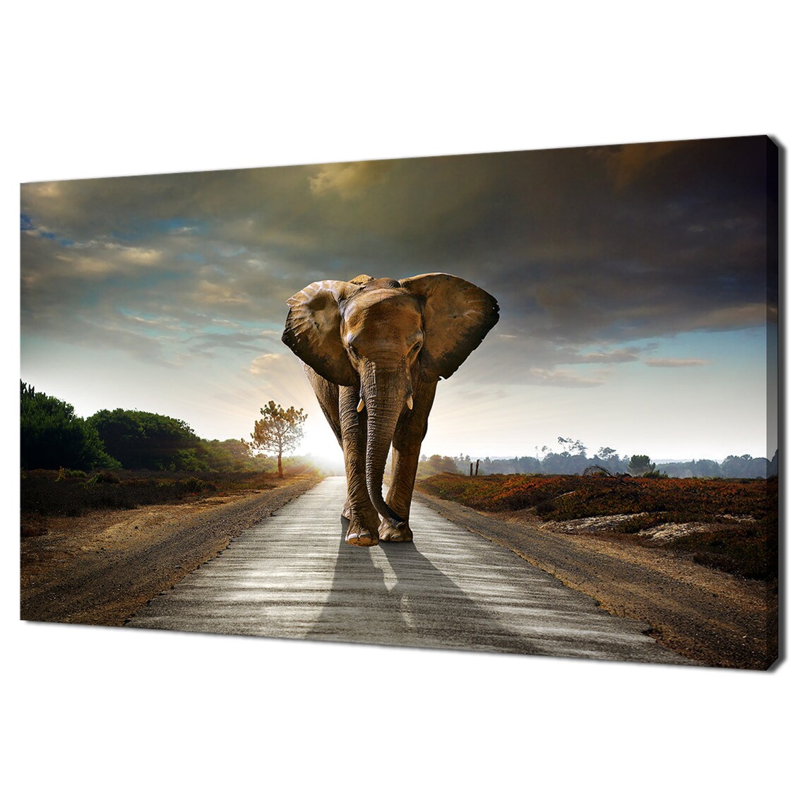 Elephant Walking on the Road Modern Art Print