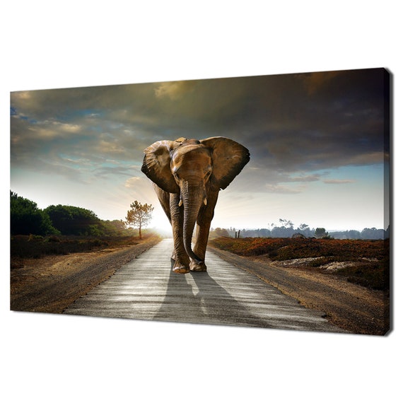 Elephant Walking on the Road Modern Art Print