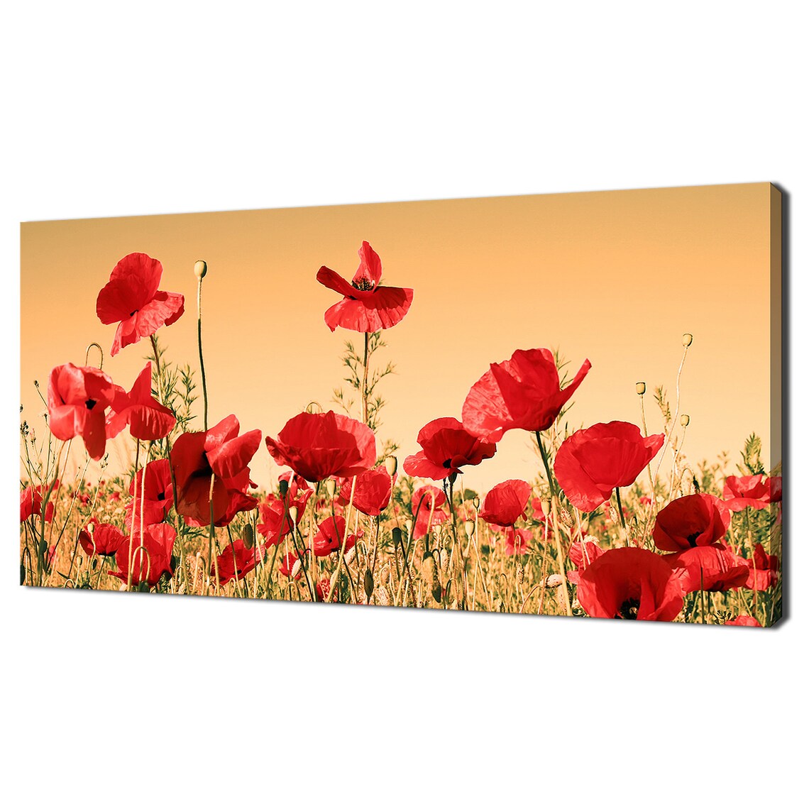 Red Poppy Field Sunset Panorama, Modern Floral Art Print