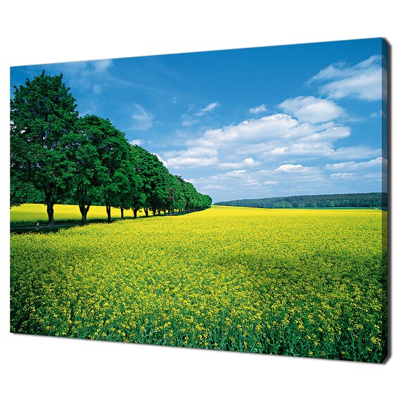 Spring Fields Trees Allee In Summer Green Blue Modern Design Home Decor Print Wall Art Picture Wall Hanging