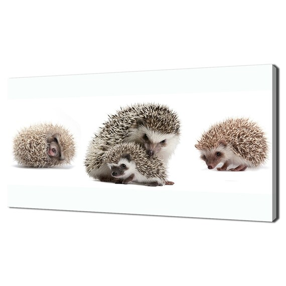 Cute Hedgehog Family Collection White Background Animal Wall Poster