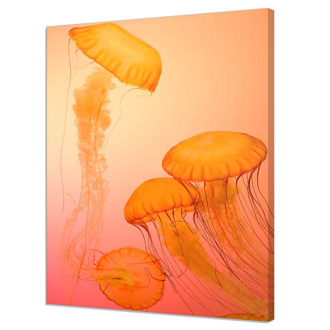Jellyfish Modern Design Art Print, Tropical Sea