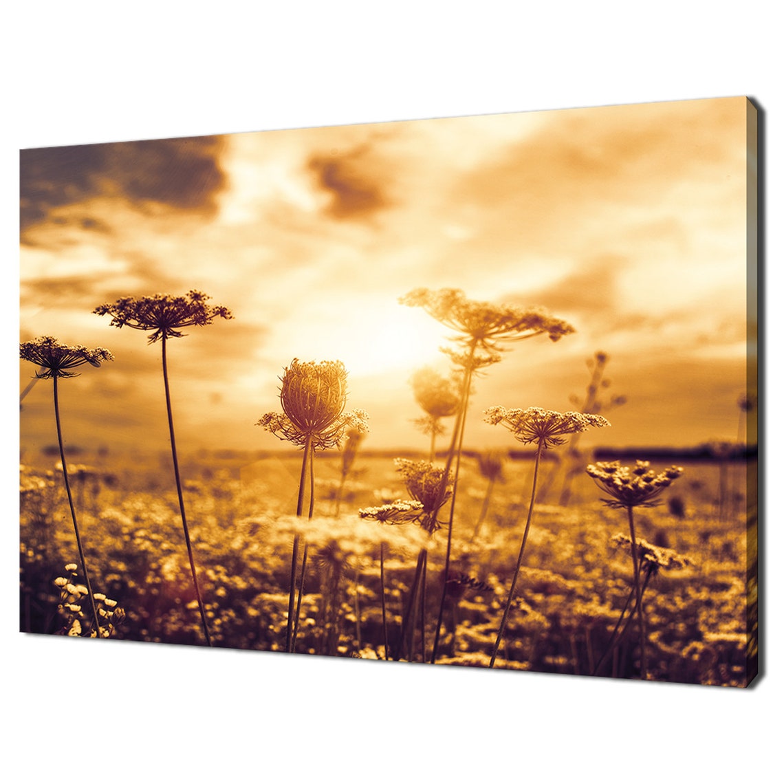 Wildflowers At Golden Sunset Silhouette Meadow Evening Glow Wall Art