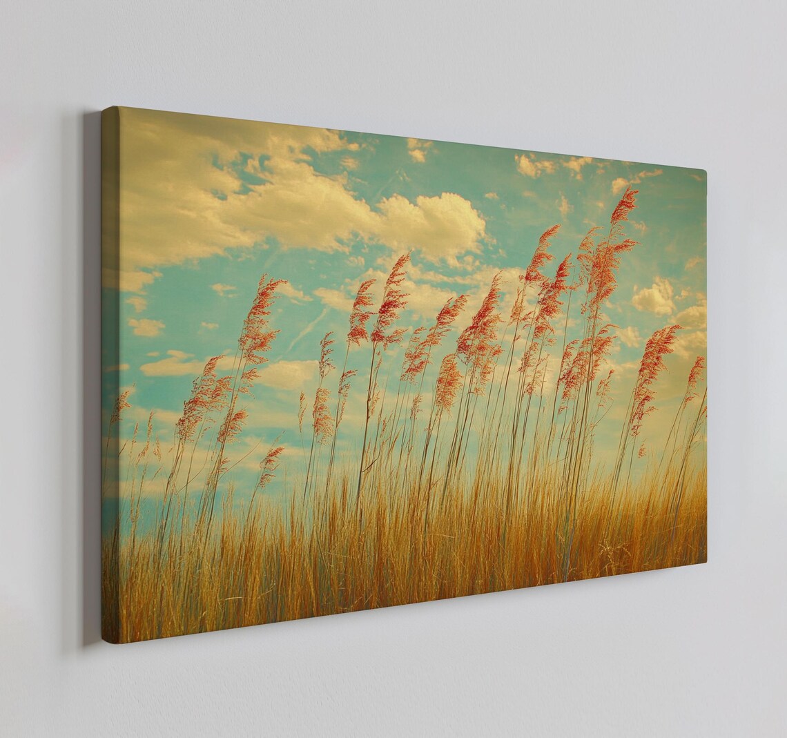Autumn Golden Grass Field Reeds Vintage Turquoise Sky Clouds Poster