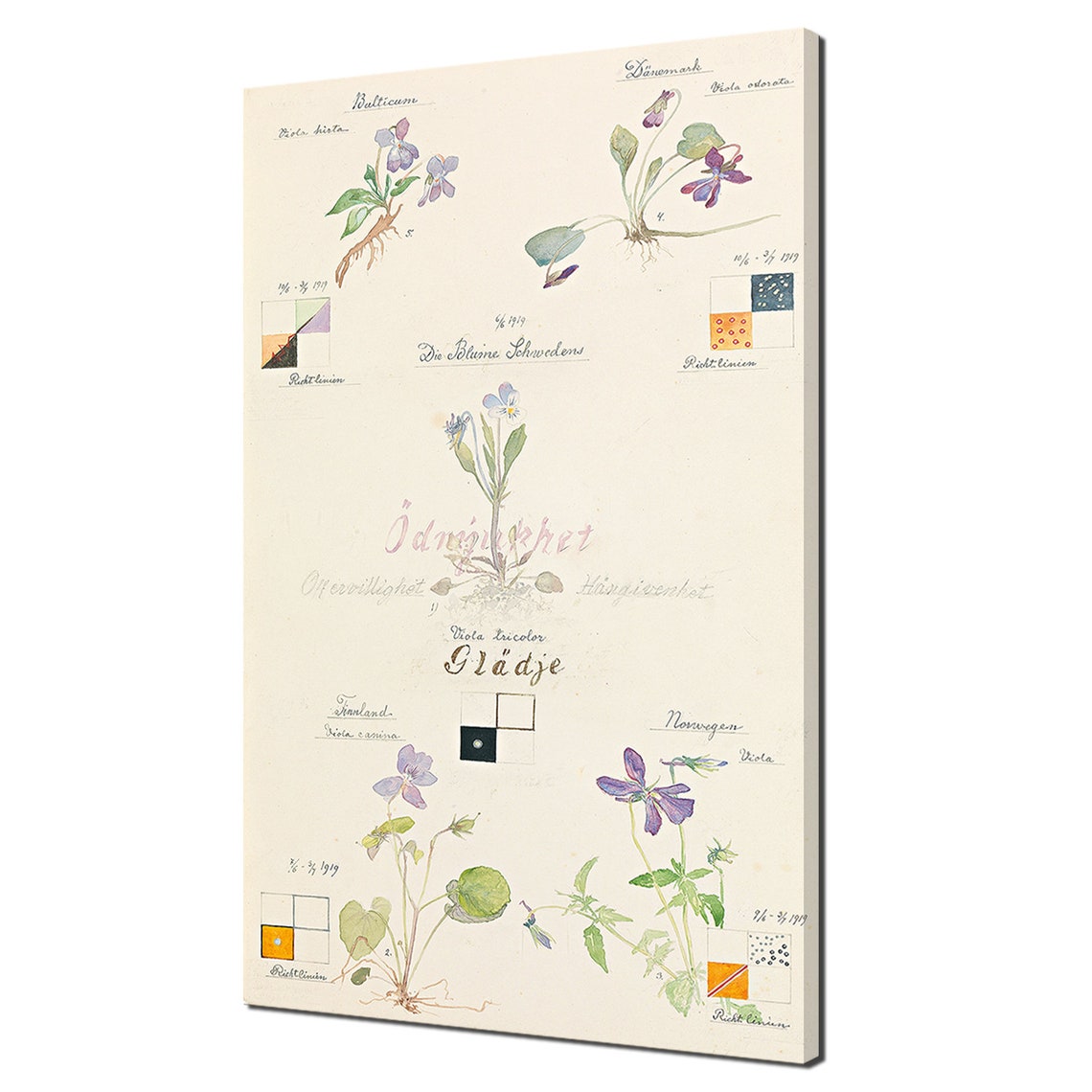 Hilma Af Klint Violet Blossoms Botanical Study Vintage Wall Art Print
