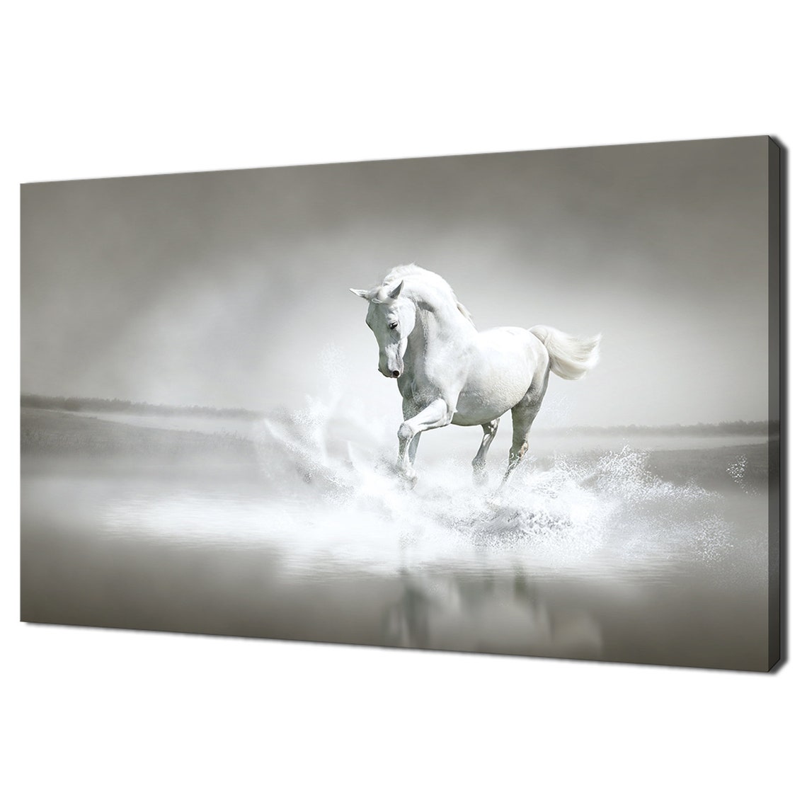 White Horse Galloping Through Misty Water Dramatic Animal Wall Poster