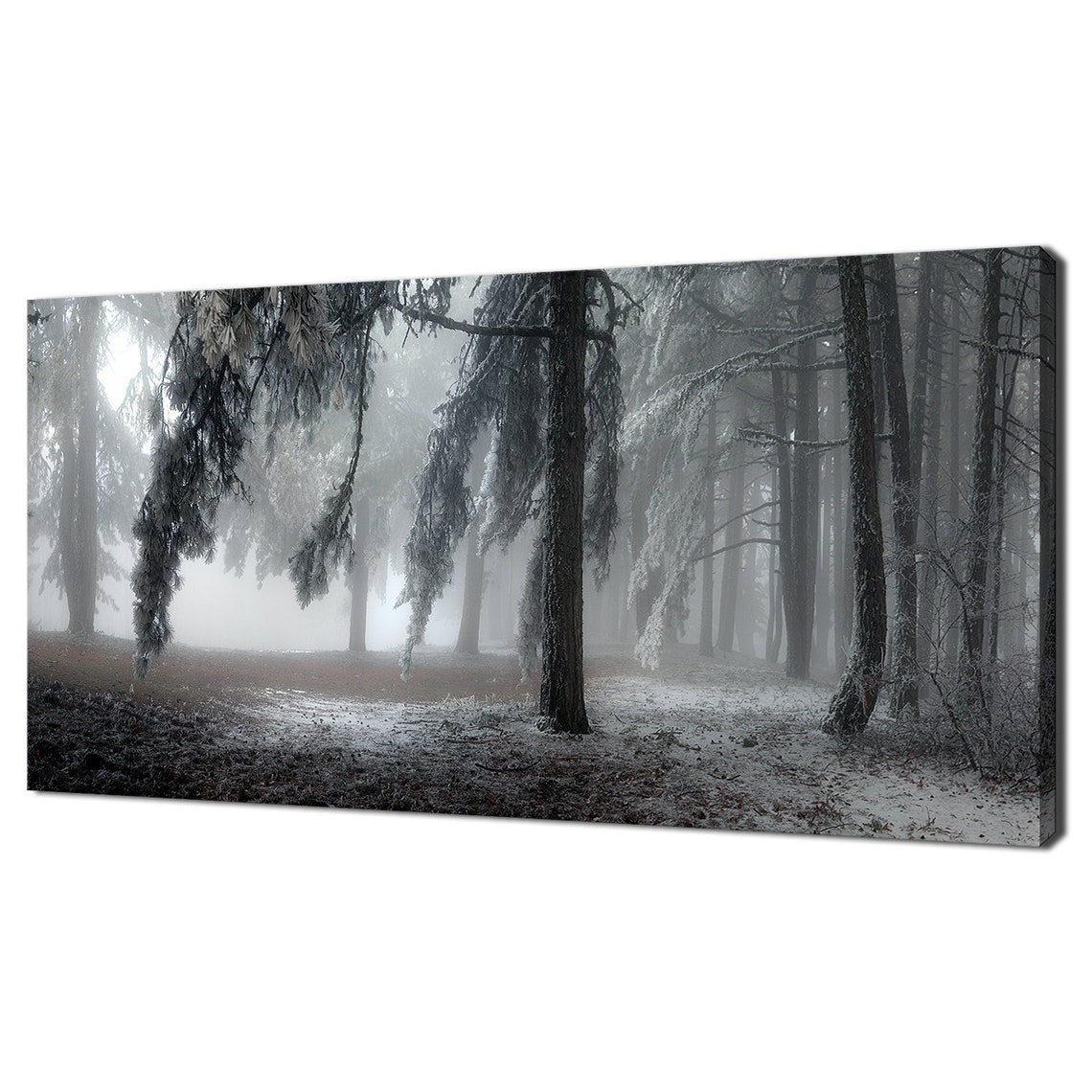 Frosty Foggy Pine Forest Winter Black White Monochrome Snow Poster