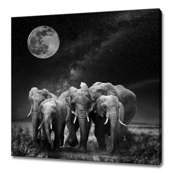 Elephant Herd Black White Full Moon Milky Way Safari Night Animals Poster
