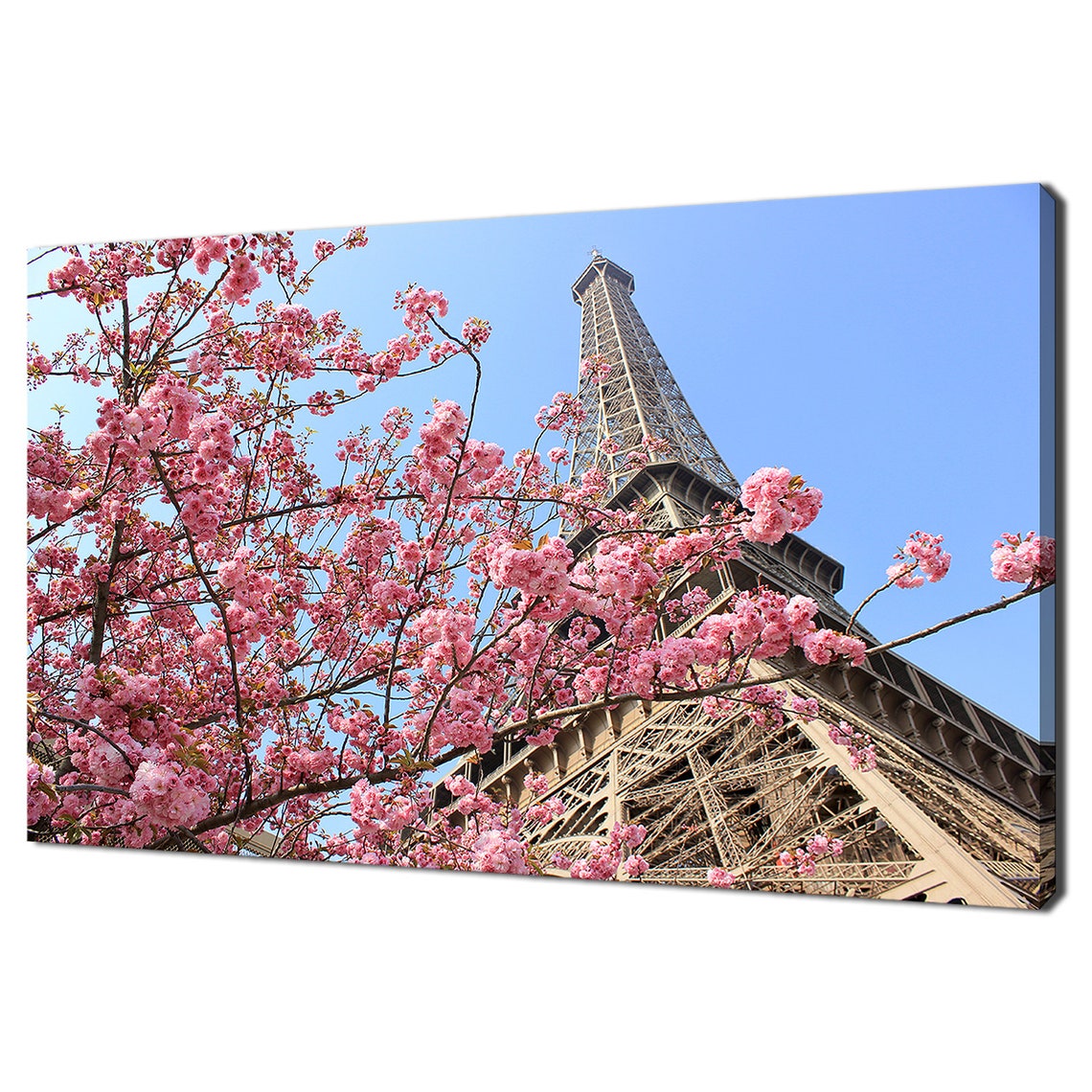 Paris Eiffel Tower Pink Cherry Blossom Spring Sky Modern Photo Poster