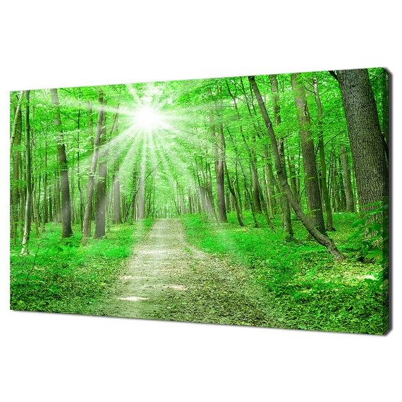 Beautiful Road In The Green Forest Trees Modern Design Home Decor Print Wall Art Picture Wall Hanging